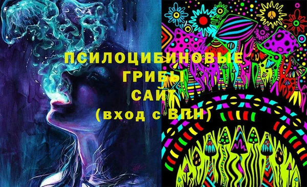 шишки Гусев