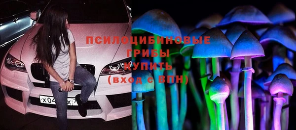 шишки Гусев